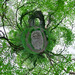 Ronald Milne Photo 14