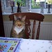 Julie Overton Photo 32