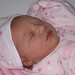 Jayne Sanders Photo 28