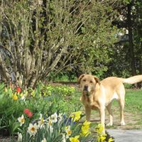 Sally Crane Photo 3