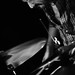 Daniel Herrero Photo 29