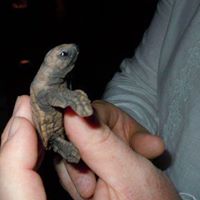 Brian Clarkin Photo 2