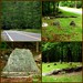 Martha Stone Photo 43