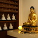 Lin Bao Photo 28