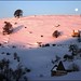 Ronald Neve Photo 19