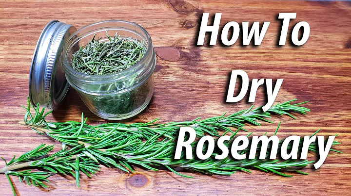 Rosemary Sump Photo 6