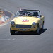 Andrew Healey Photo 47