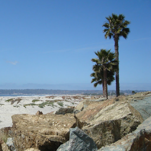 James Toth Photo 11