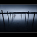 David Howden Photo 26