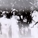 Bernice Brown Photo 42