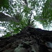 Franklin Muir Photo 12