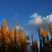 Jose Manzano Photo 40