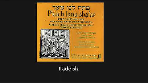 Michael Kadish Photo 18