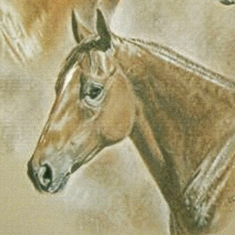 Dayna Turner Photo 9