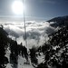 Mark Michelson Photo 29