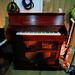 Celeste Bell Photo 34