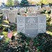 Margie Friedman Photo 19
