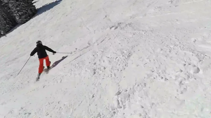 Scott Vail Photo 16