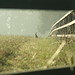 Dawn Hare Photo 24