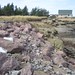 Stuart Gillies Photo 26