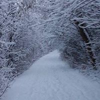 Roger Mckay Photo 2