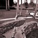 Kieran Mccarthy Photo 35