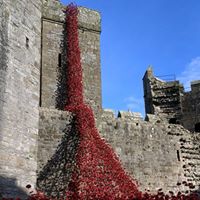 Martin Tompkins Photo 4