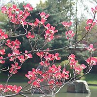 April Wiseman Photo 1