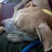 Timothy Blessing Photo 16