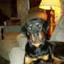 Jeff Hinson Photo 26