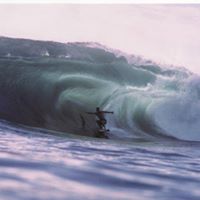 Michael Crisp Photo 4