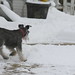 Fred Cutter Photo 20