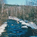 Anne Branch Photo 18