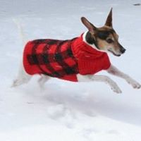 Debra Camp Photo 2