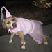 Princess Bailey Photo 30