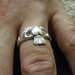 Sean Ring Photo 36
