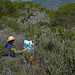 Barbara Rosenthal Photo 40