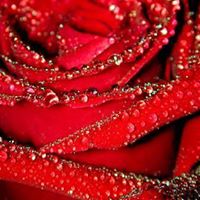 Rose Loomis Photo 5