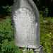 Allen Barrett Photo 42