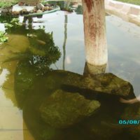 Ann Seng Photo 7