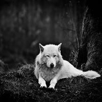 Marc Deutsch Photo 1