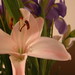 Jerry Valentine Photo 38