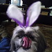 Bunny Phillips Photo 19