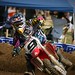Andrew Tedesco Photo 34