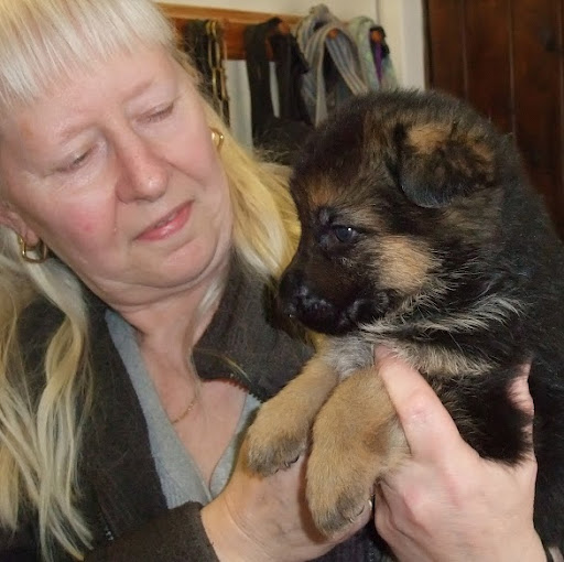 Diane Farmer Photo 12
