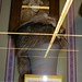 Frank Crockett Photo 21