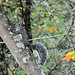 Beverly Muir Photo 15