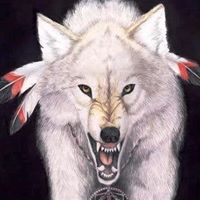 Dave Wolf Photo 6