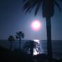 Sarah Roush Photo 21