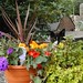 Billy Flowers Photo 43